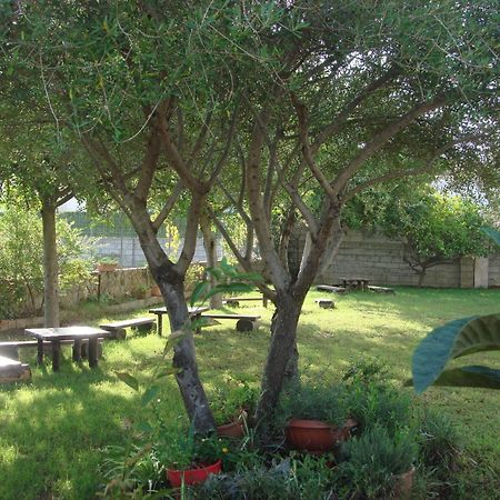 Bed and Breakfast Grazia Deledda Galtellì Exterior foto